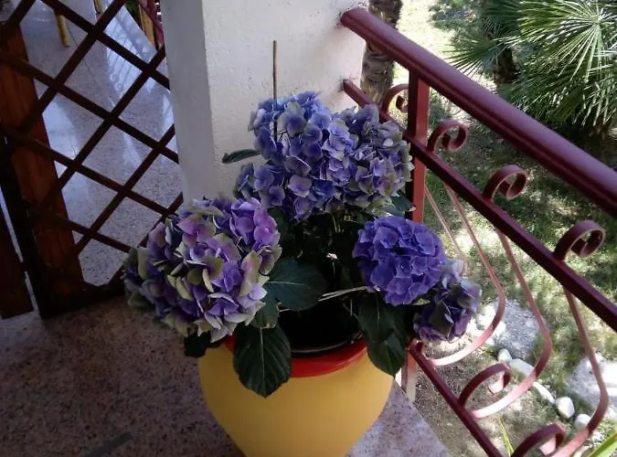 L'isola Che Non C'e Vakantiehuis